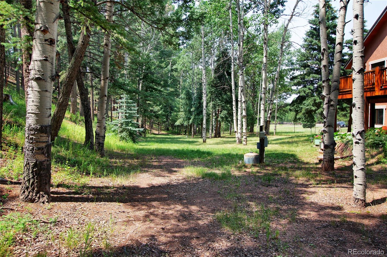 MLS Image #46 for 111 e lovell gulch road,woodland park, Colorado