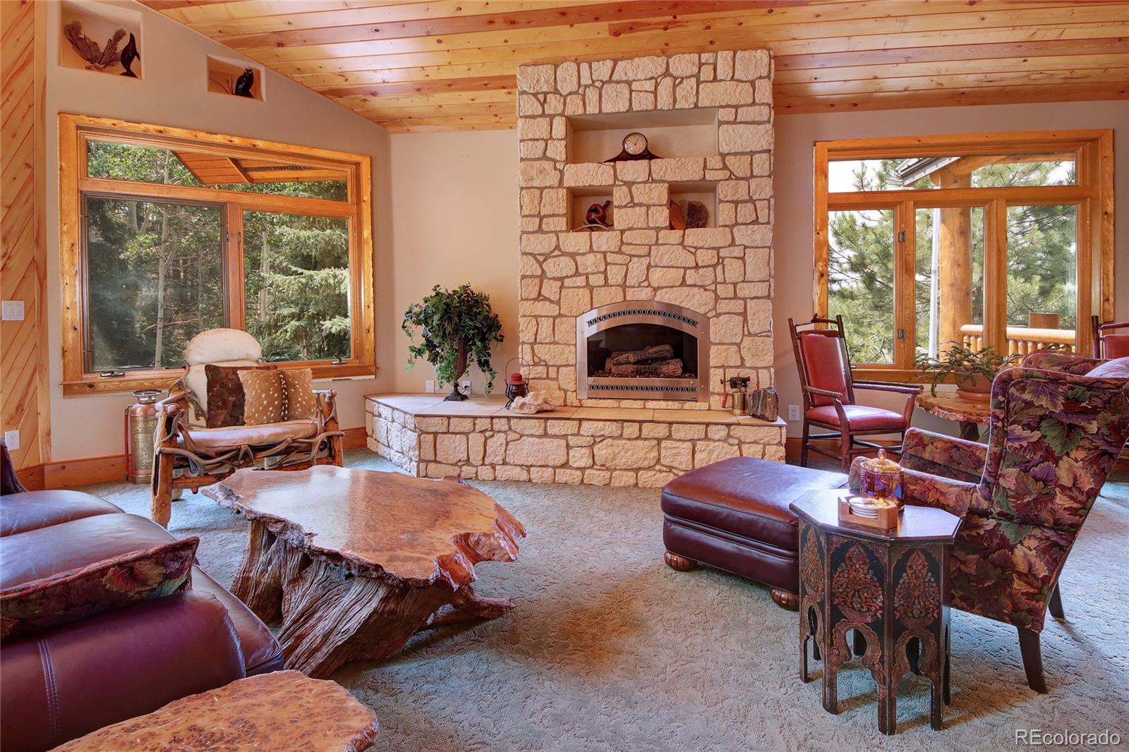 MLS Image #8 for 111 e lovell gulch road,woodland park, Colorado