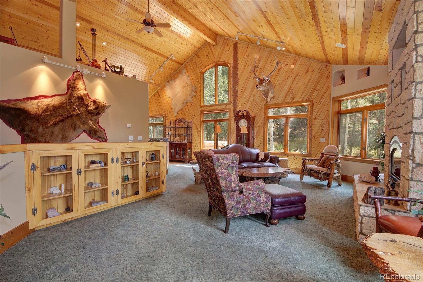 MLS Image #9 for 111 e lovell gulch road,woodland park, Colorado