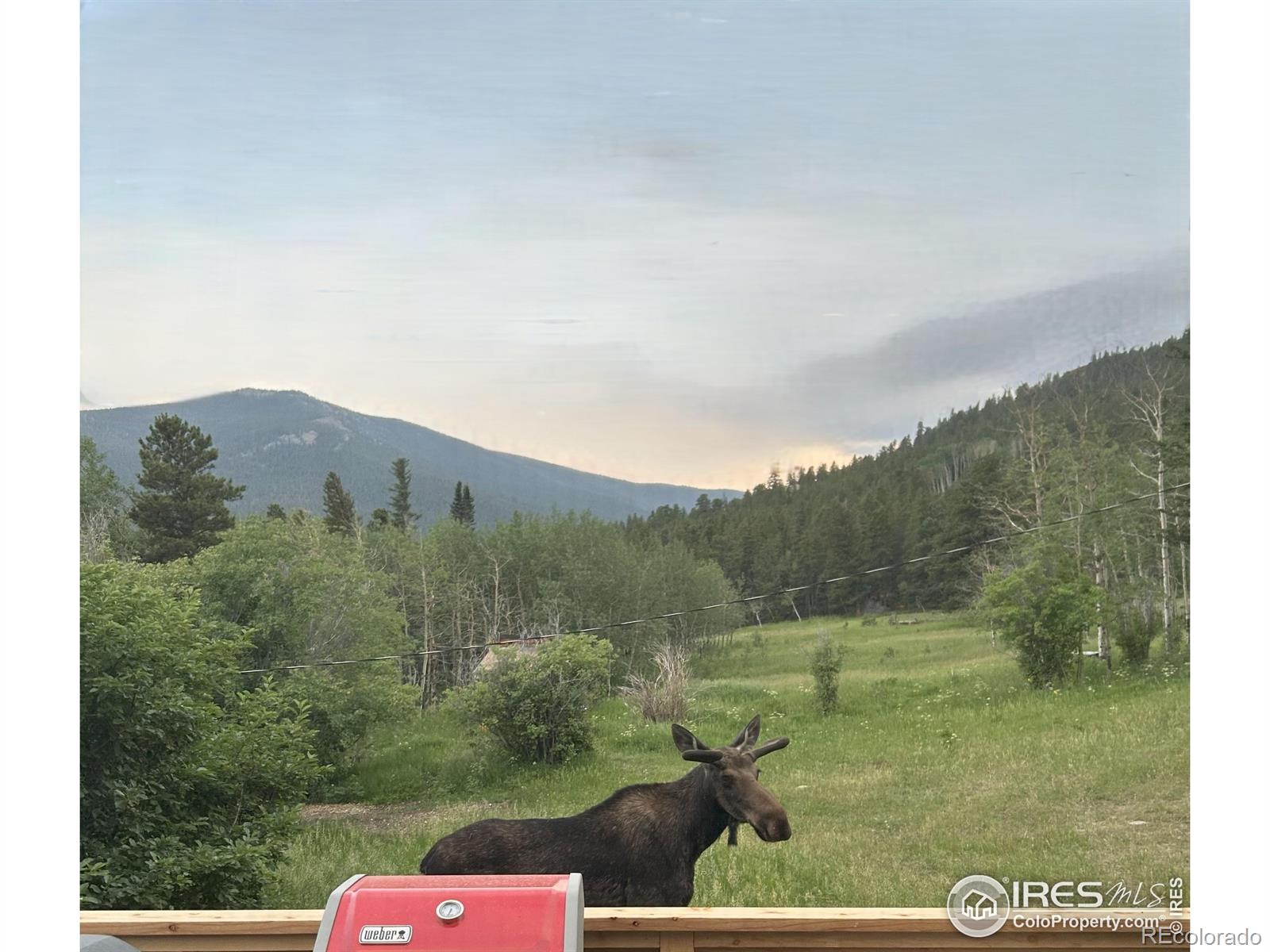 MLS Image #1 for 175  ironclad view road,allenspark, Colorado