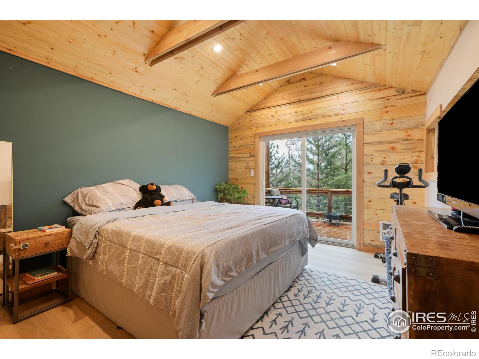 MLS Image #10 for 175  ironclad view road,allenspark, Colorado