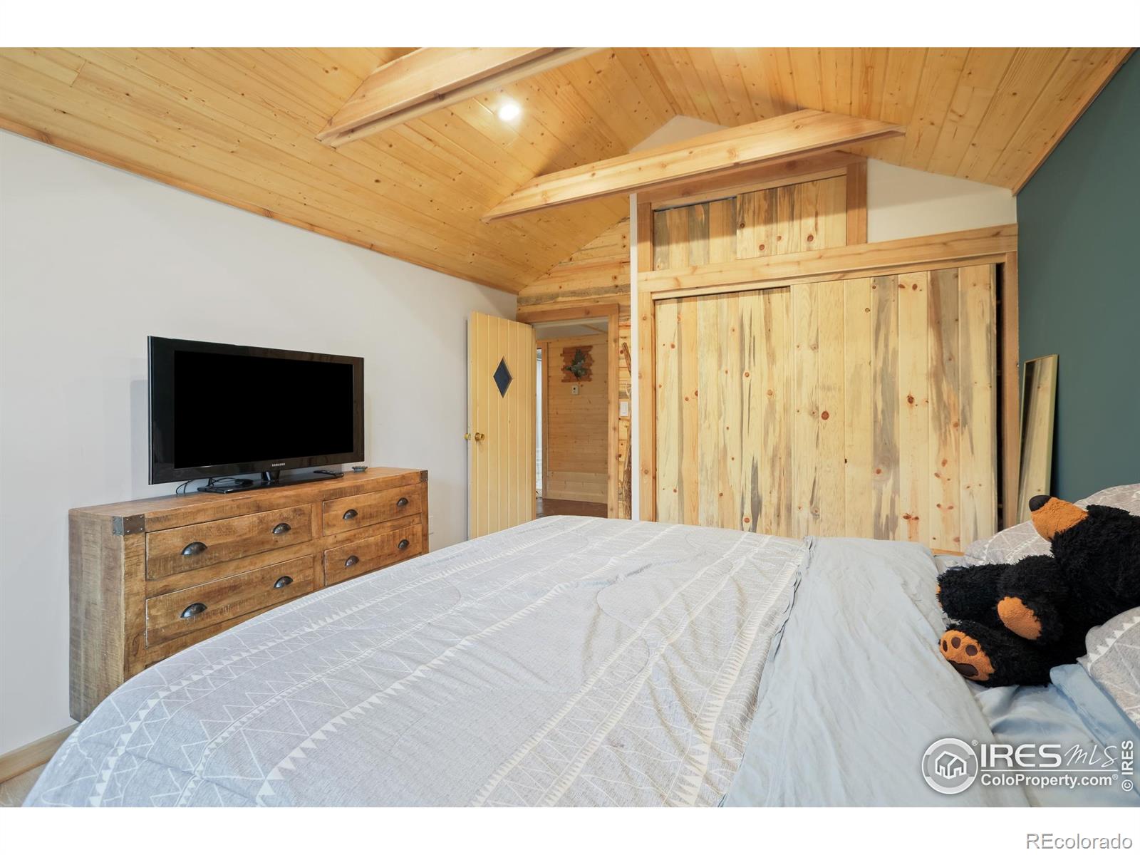 MLS Image #11 for 175  ironclad view road,allenspark, Colorado