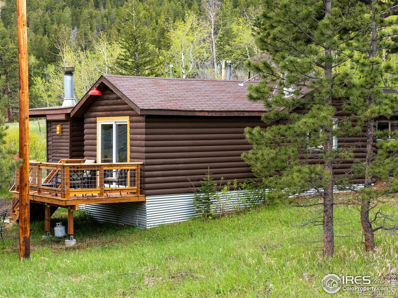 MLS Image #16 for 175  ironclad view road,allenspark, Colorado