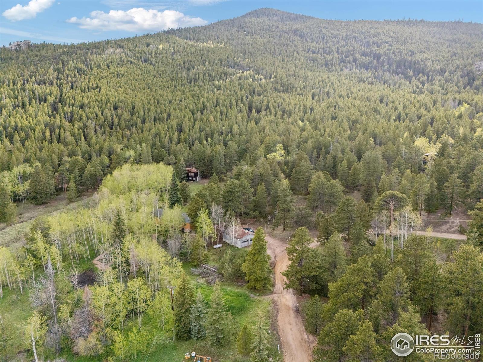 MLS Image #20 for 175  ironclad view road,allenspark, Colorado