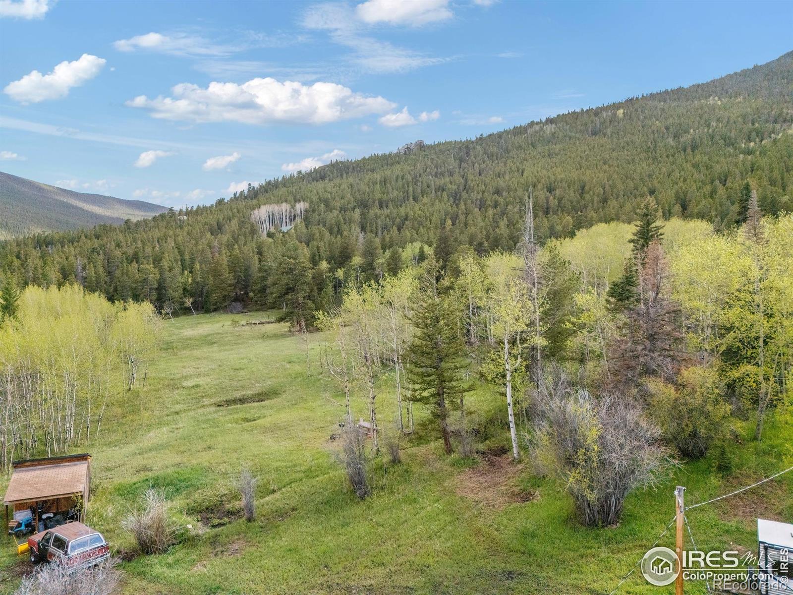 MLS Image #23 for 175  ironclad view road,allenspark, Colorado