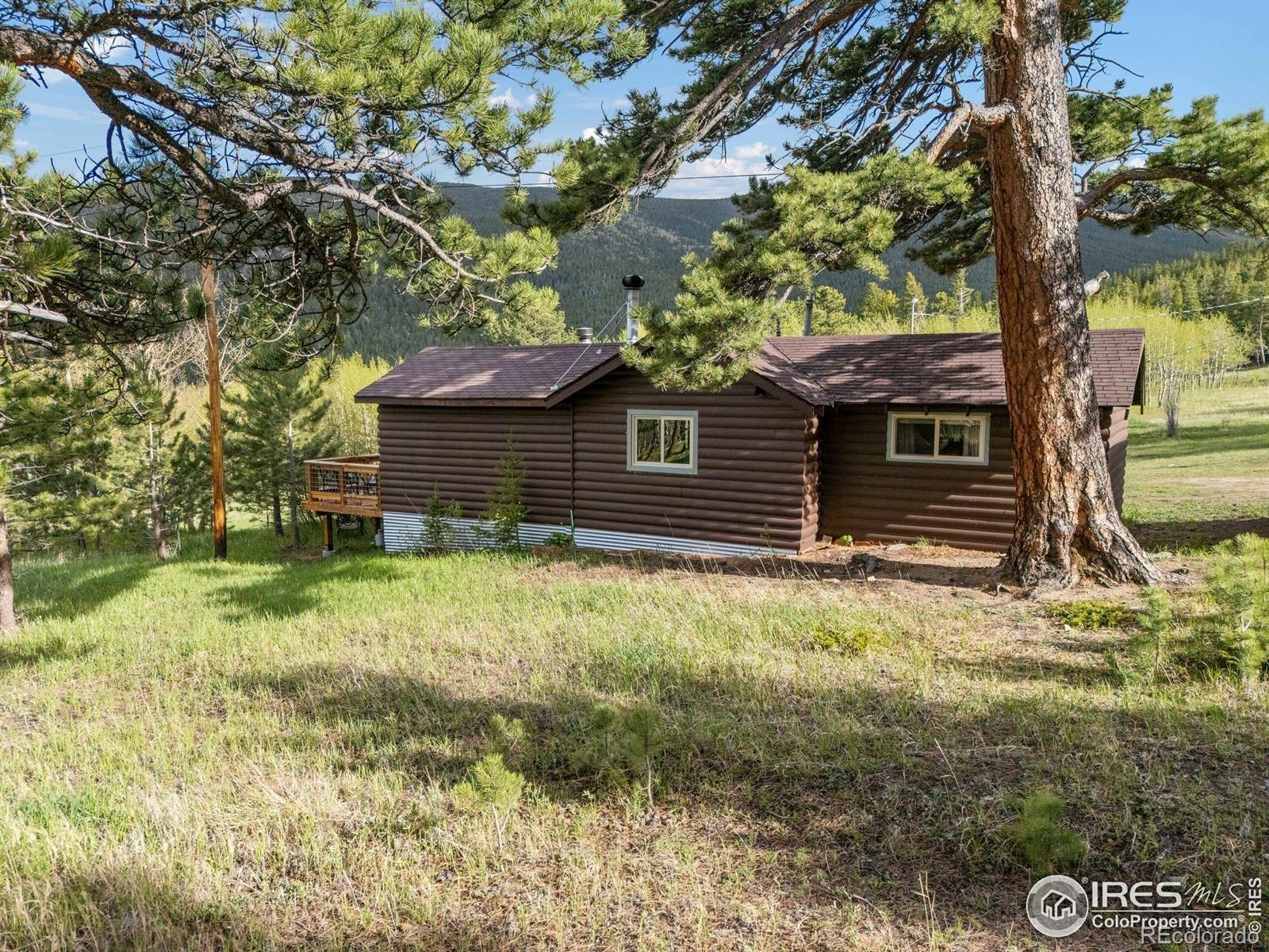 MLS Image #25 for 175  ironclad view road,allenspark, Colorado