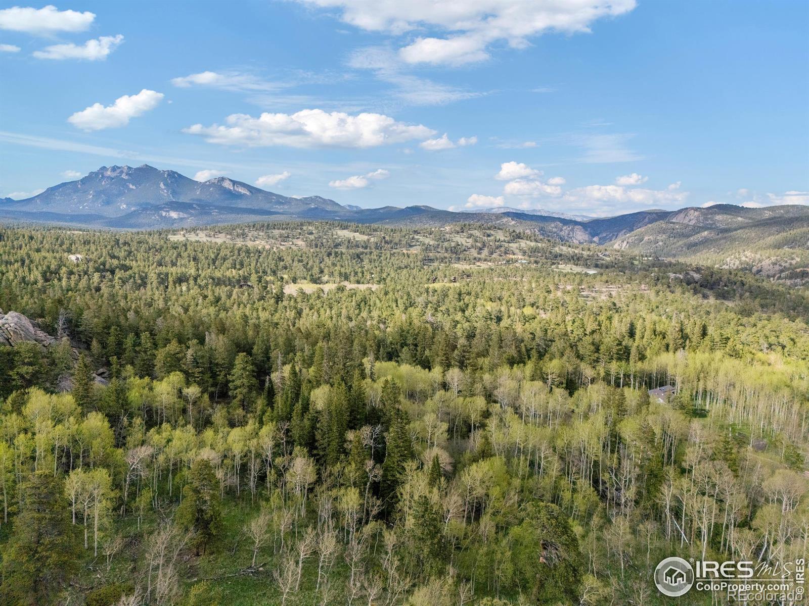 MLS Image #27 for 175  ironclad view road,allenspark, Colorado