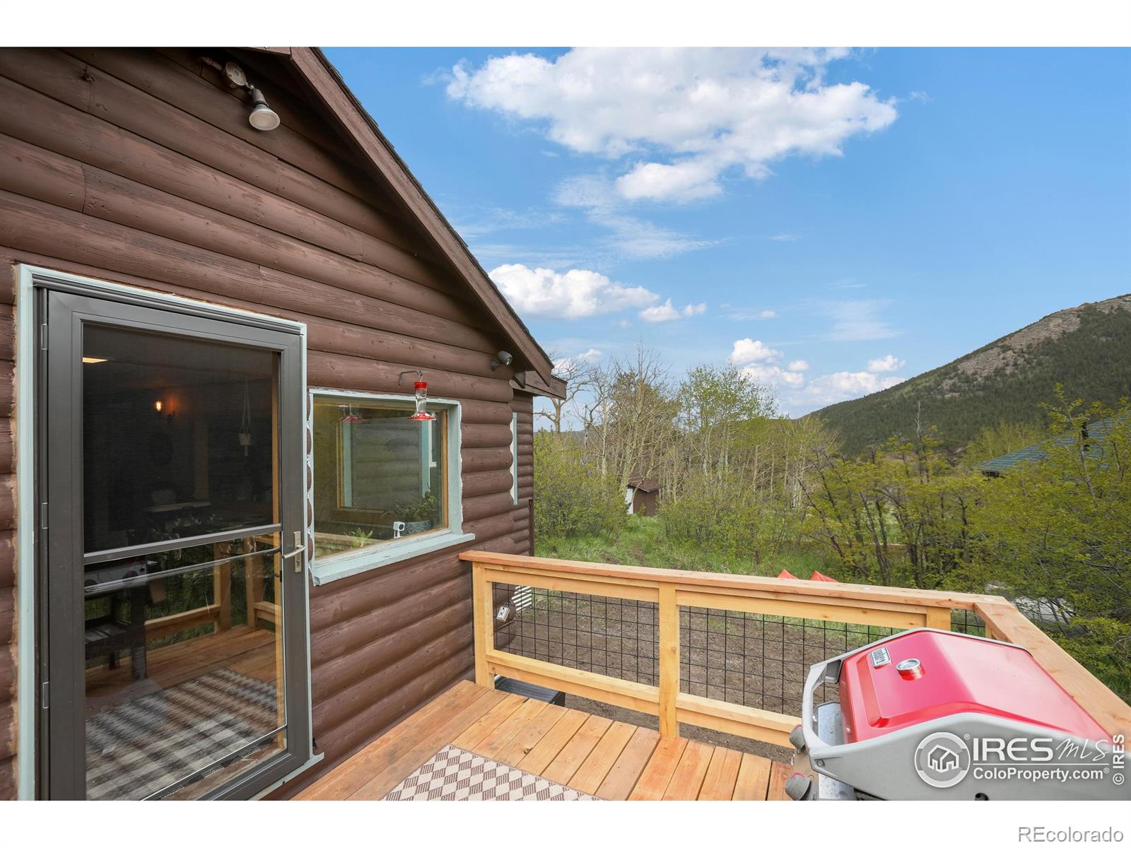 MLS Image #28 for 175  ironclad view road,allenspark, Colorado