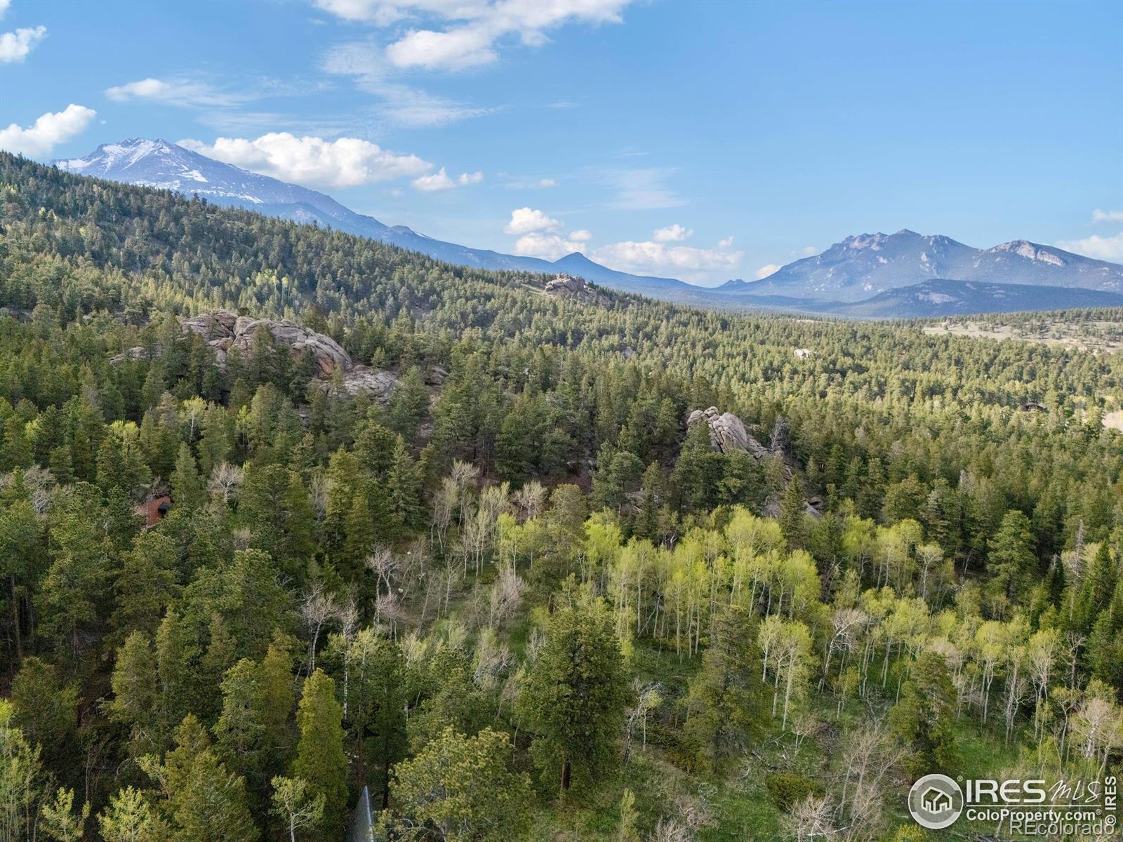 MLS Image #30 for 175  ironclad view road,allenspark, Colorado