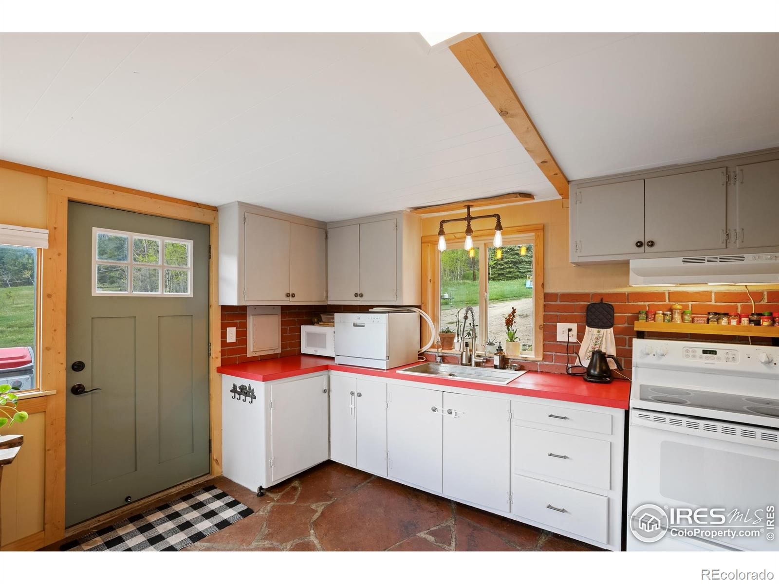 MLS Image #4 for 175  ironclad view road,allenspark, Colorado