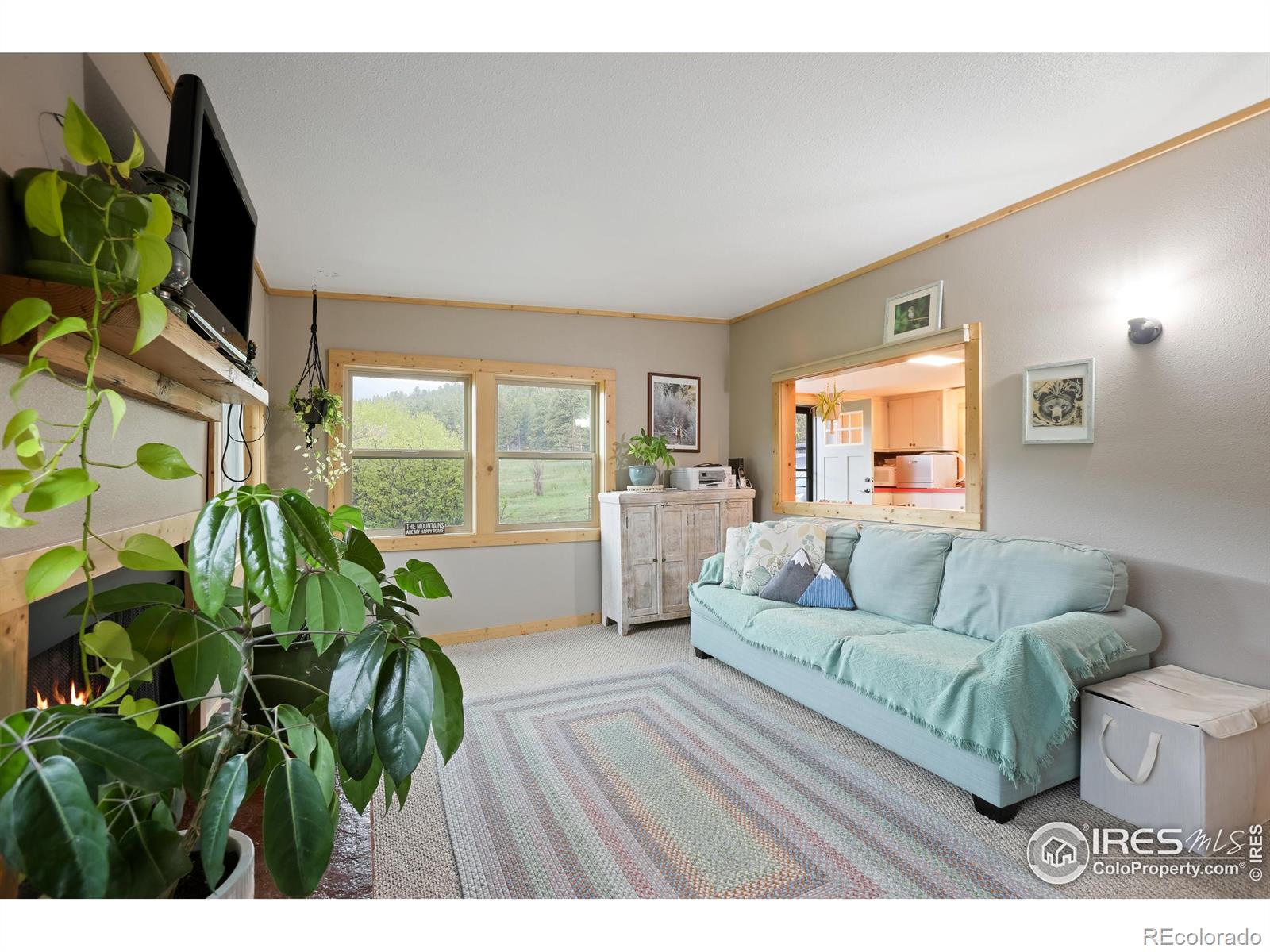 MLS Image #7 for 175  ironclad view road,allenspark, Colorado