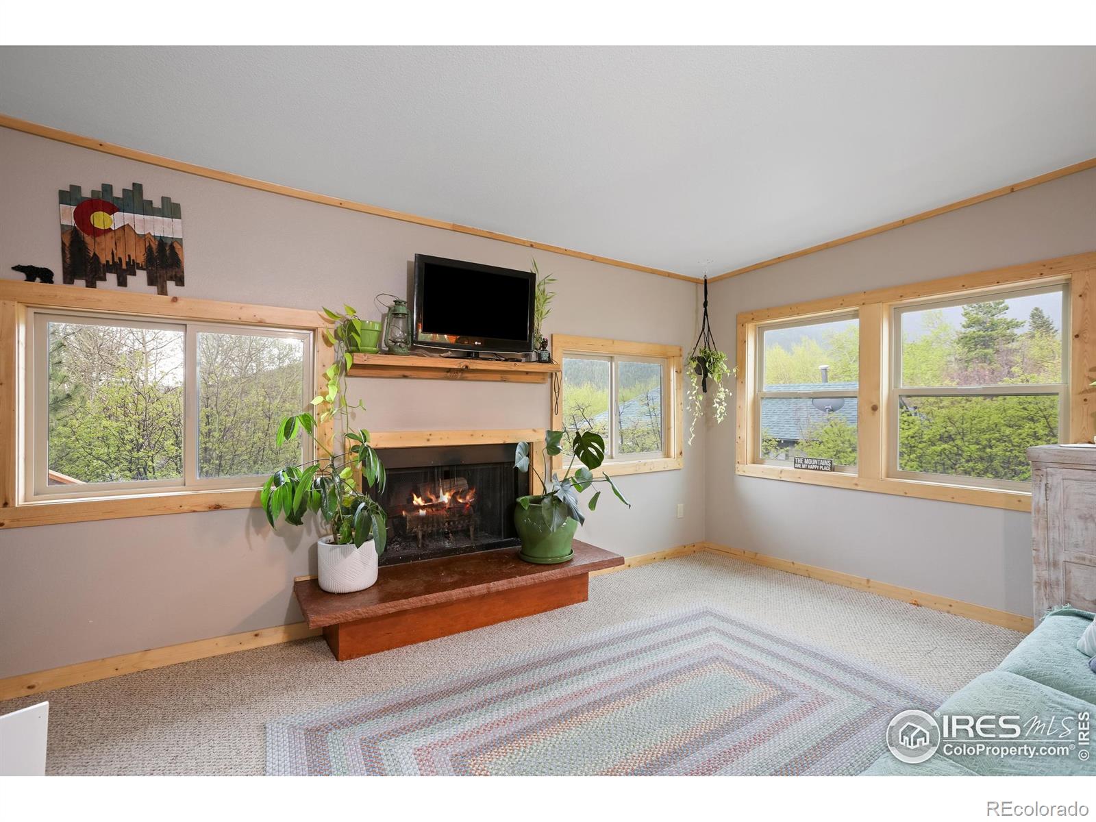 MLS Image #8 for 175  ironclad view road,allenspark, Colorado