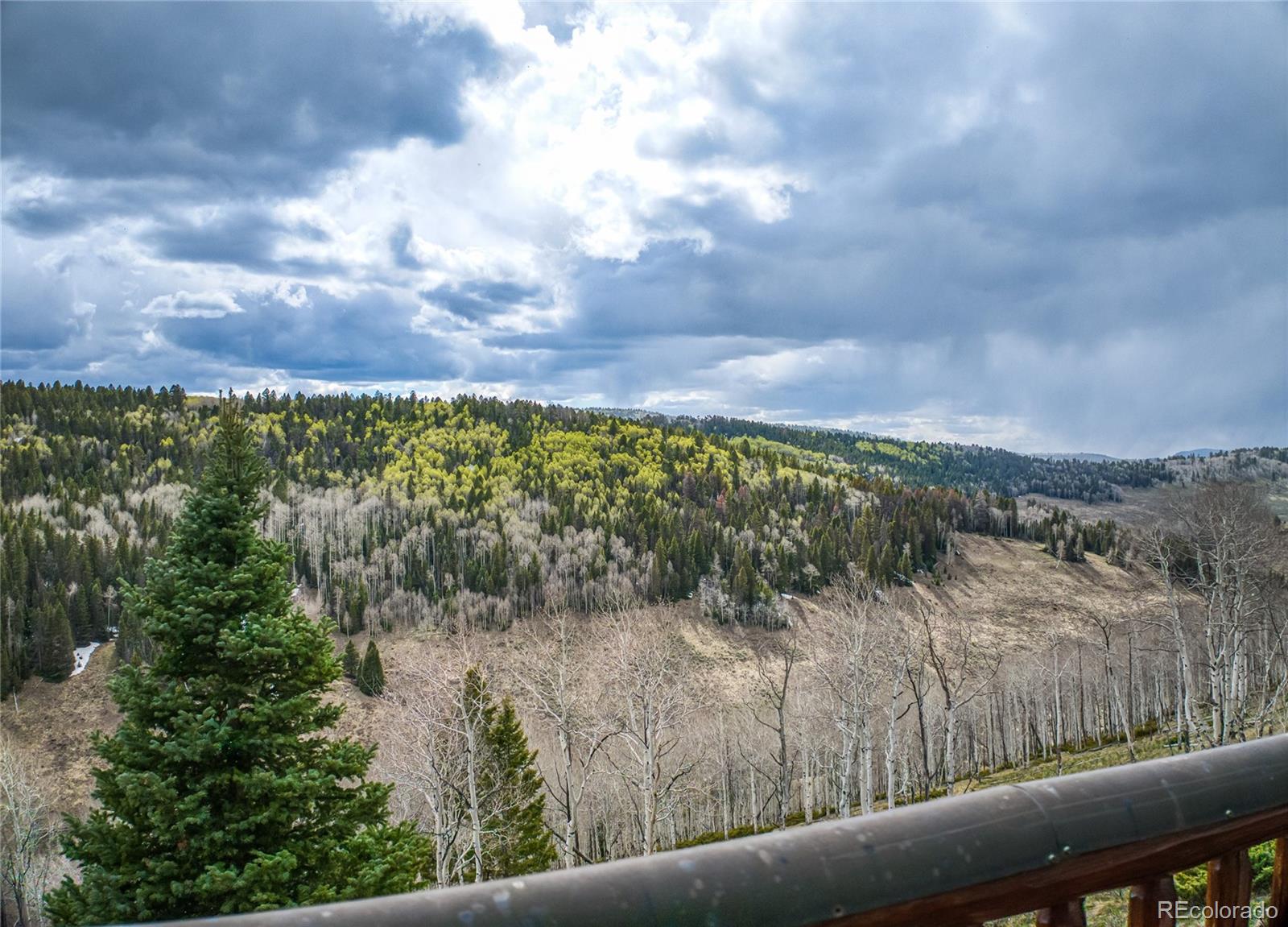 MLS Image #12 for 3  hazel lake drive,cimarron, Colorado