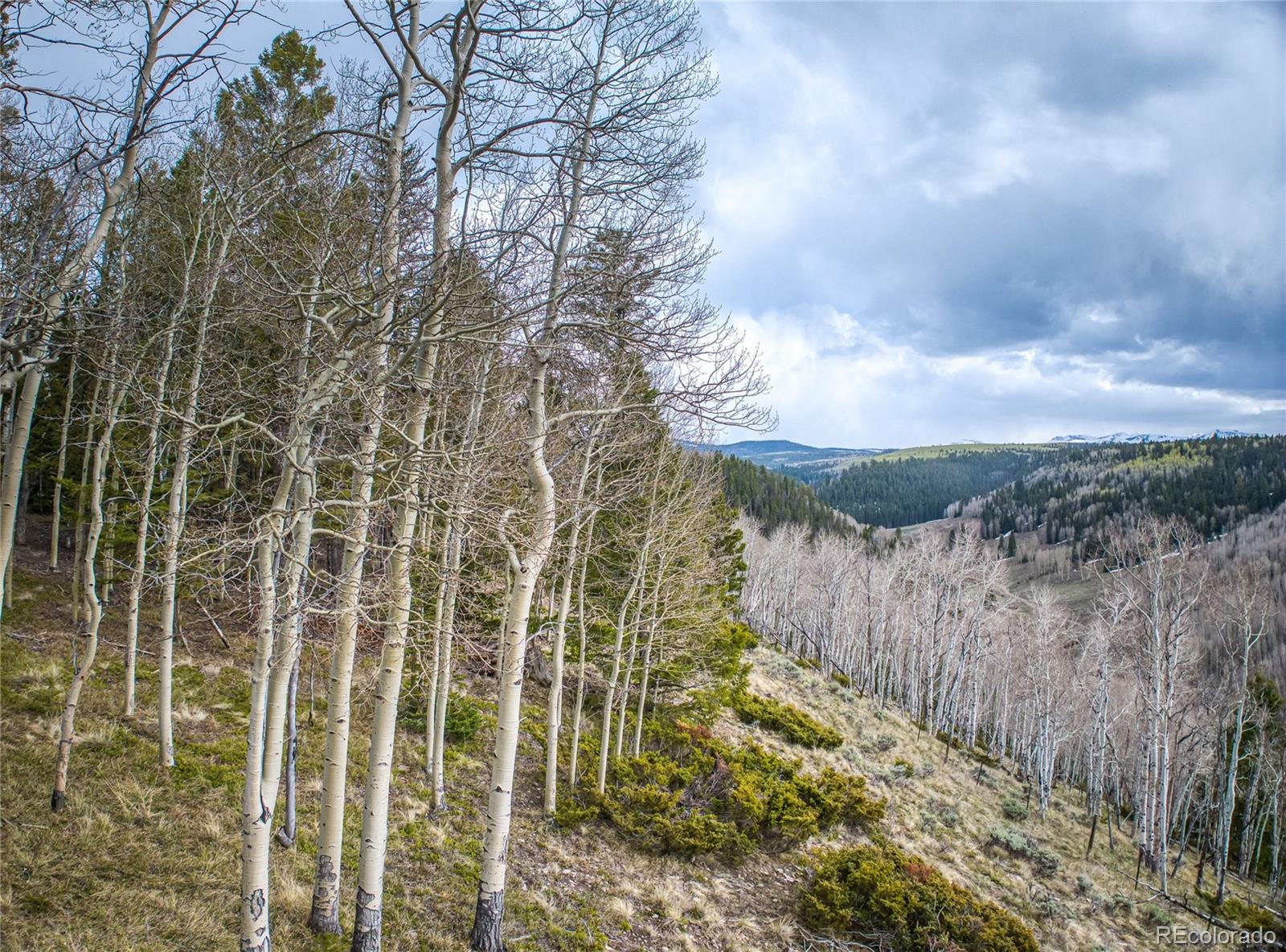 MLS Image #13 for 3  hazel lake drive,cimarron, Colorado