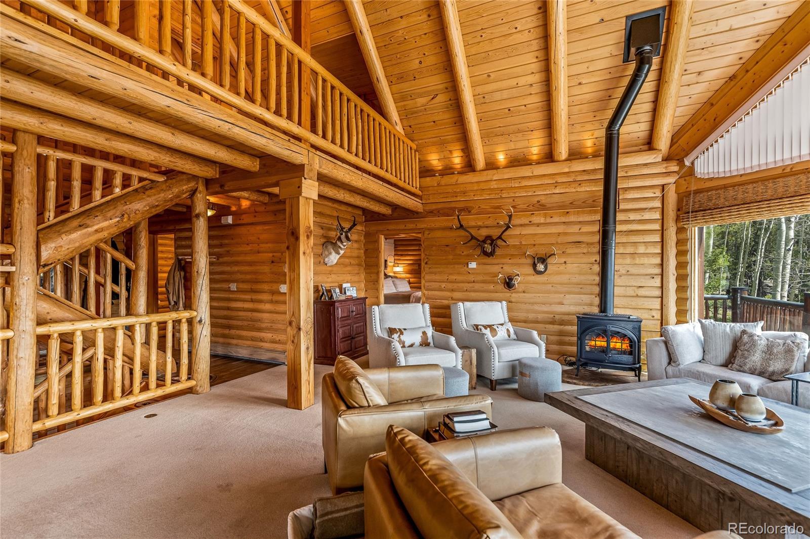 MLS Image #25 for 3  hazel lake drive,cimarron, Colorado