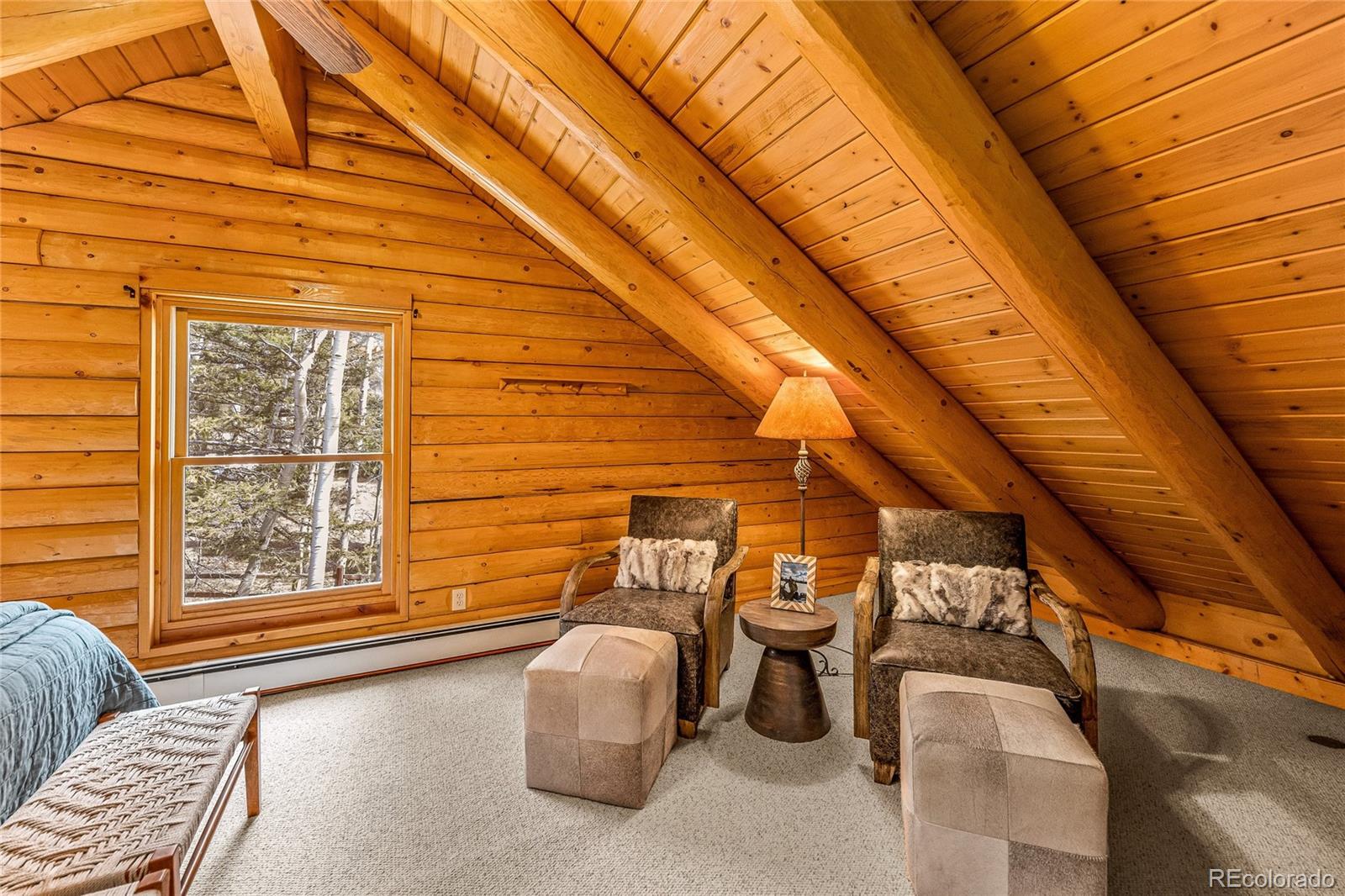 MLS Image #39 for 3  hazel lake drive,cimarron, Colorado