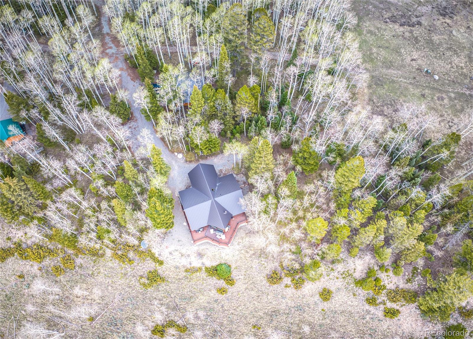 MLS Image #6 for 3  hazel lake drive,cimarron, Colorado
