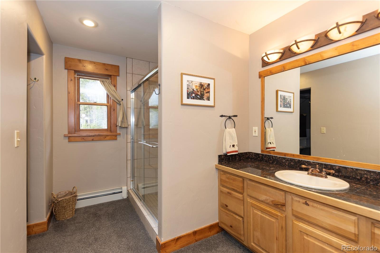 MLS Image #13 for 522  county road 4 ,alma, Colorado