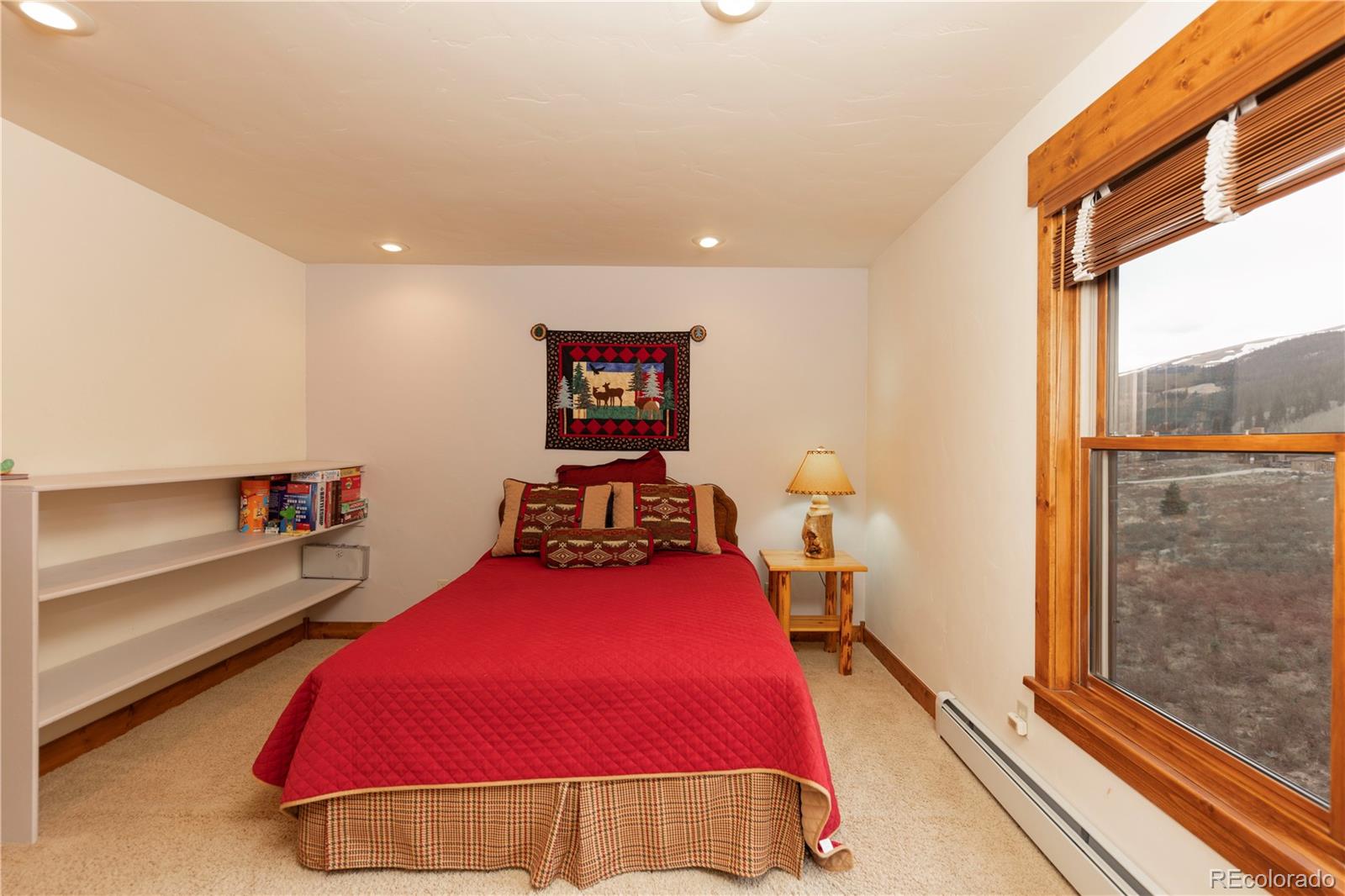MLS Image #18 for 522  county road 4 ,alma, Colorado