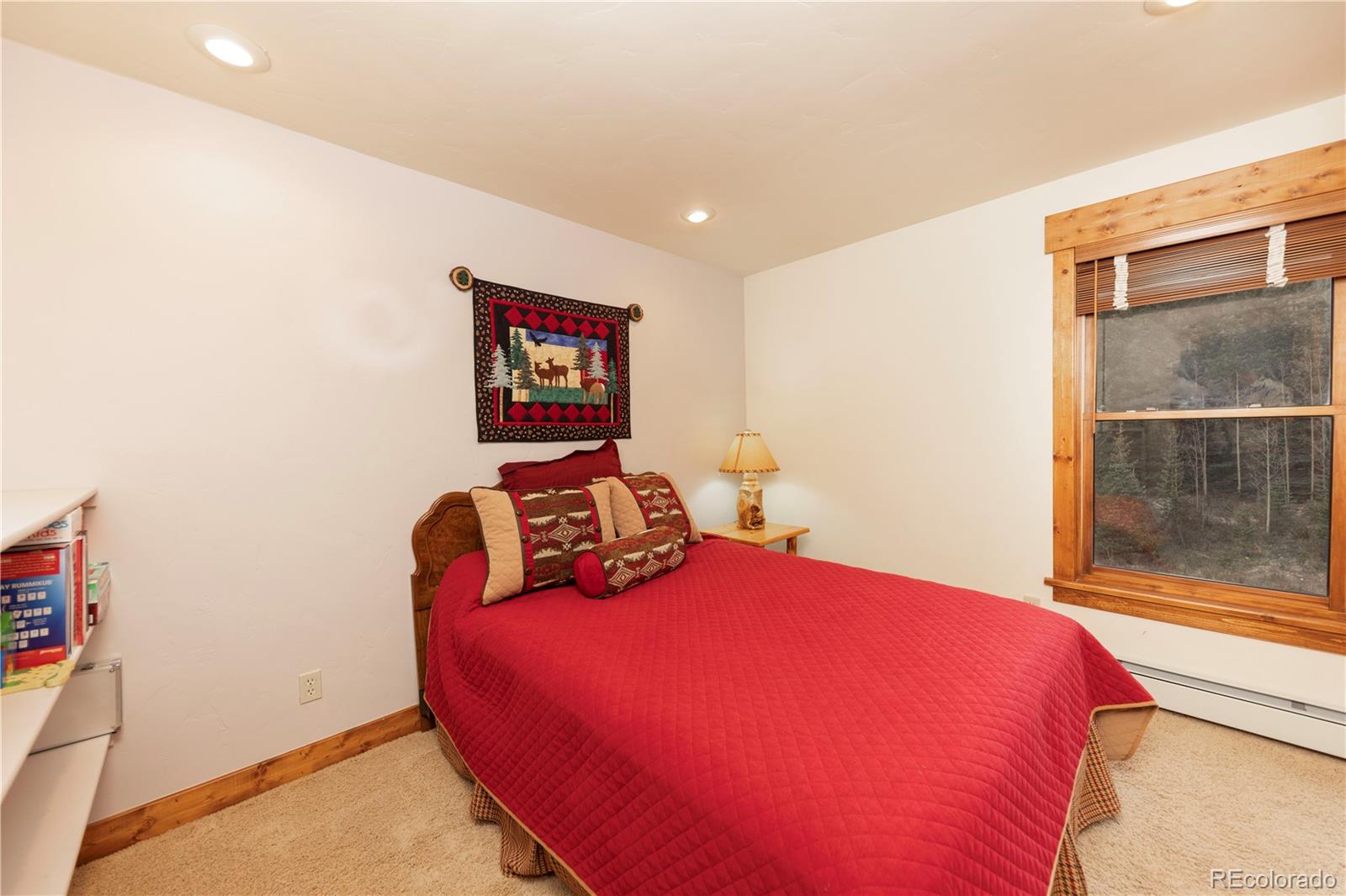 MLS Image #19 for 522  county road 4 ,alma, Colorado