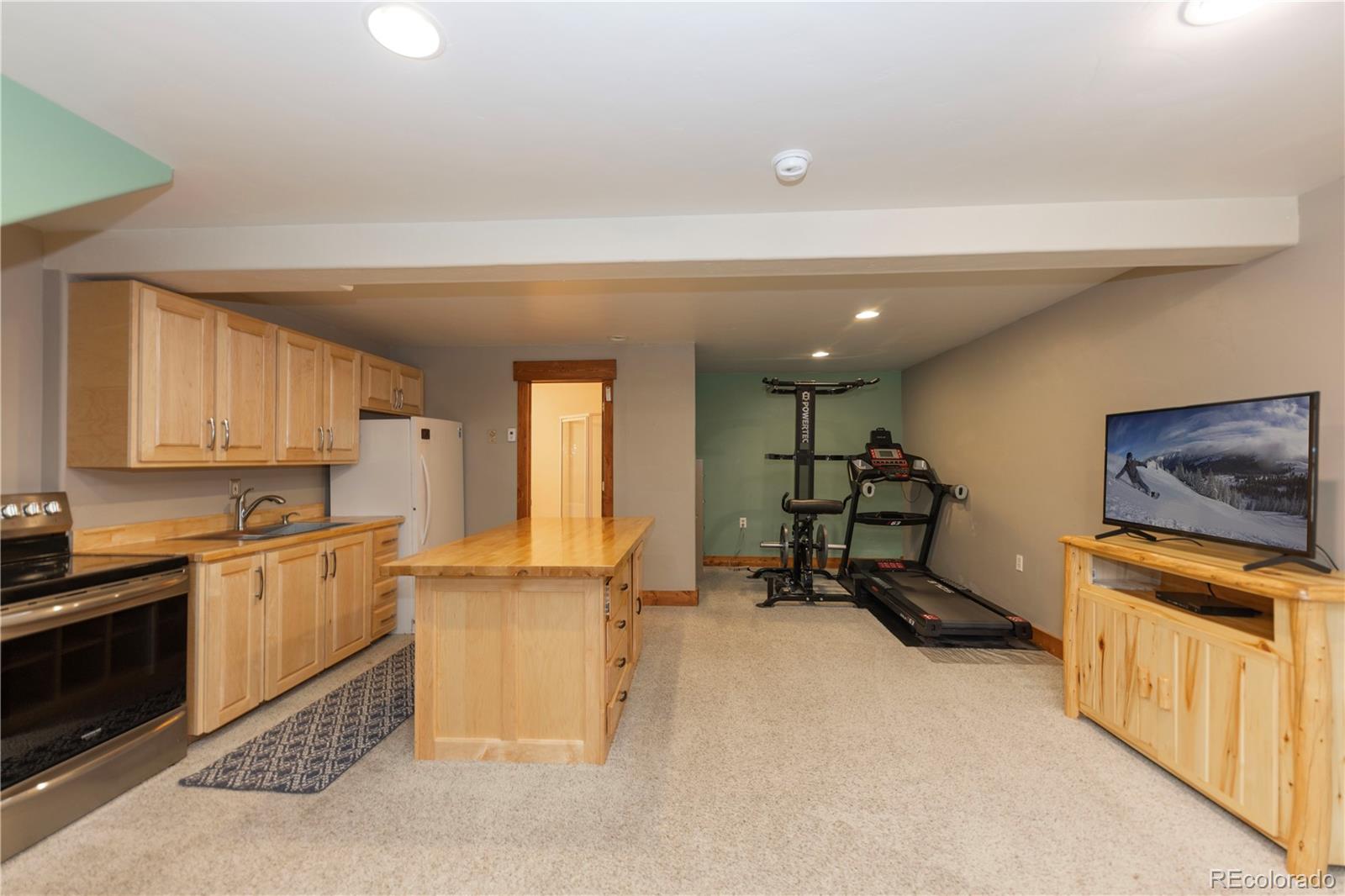 MLS Image #24 for 522  county road 4 ,alma, Colorado