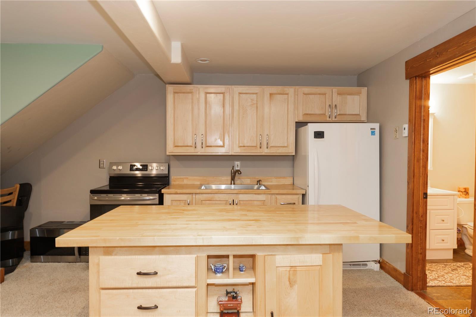 MLS Image #25 for 522  county road 4 ,alma, Colorado