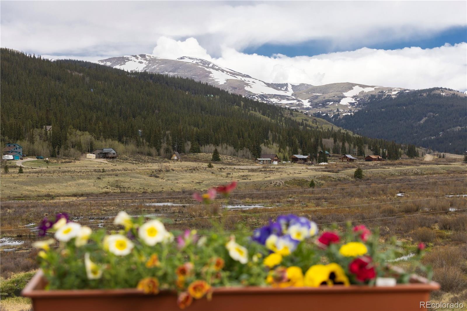 MLS Image #29 for 522  county road 4 ,alma, Colorado