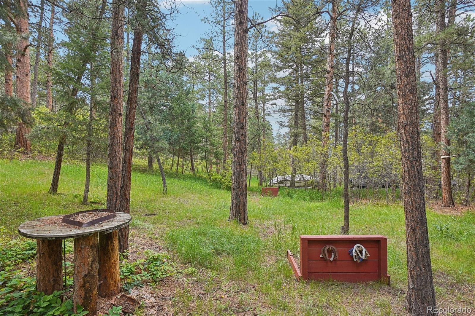 MLS Image #28 for 8095  bannock drive,larkspur, Colorado