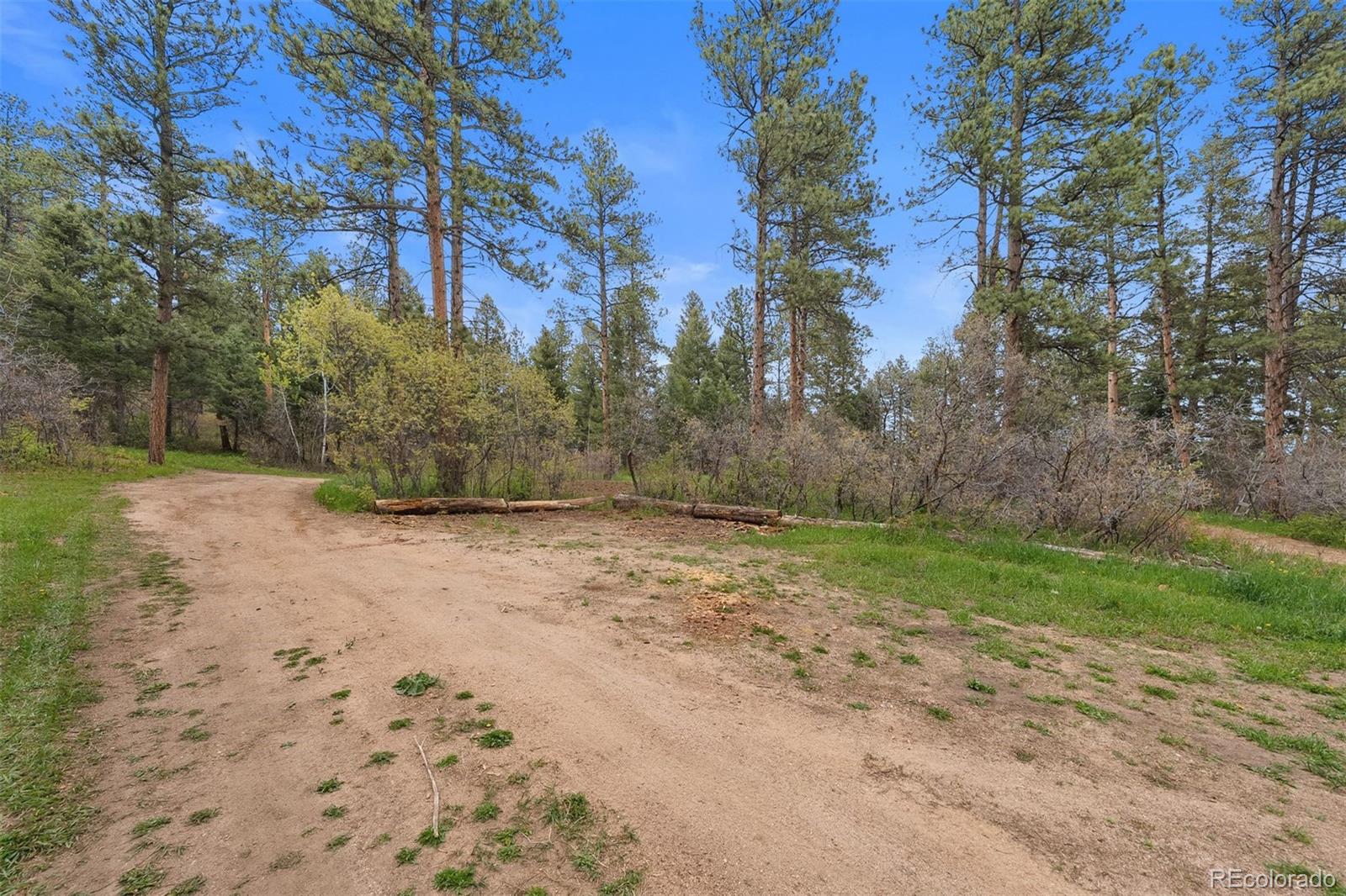 MLS Image #31 for 245 n county highway 67 ,sedalia, Colorado