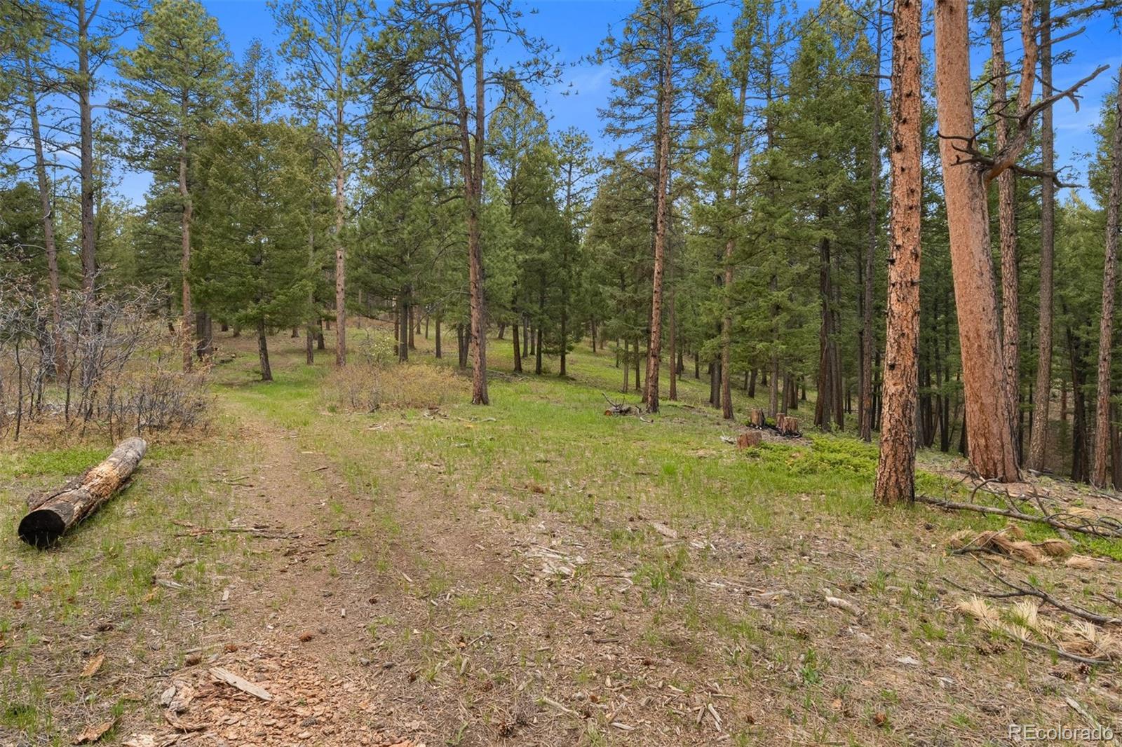MLS Image #34 for 245 n county highway 67 ,sedalia, Colorado