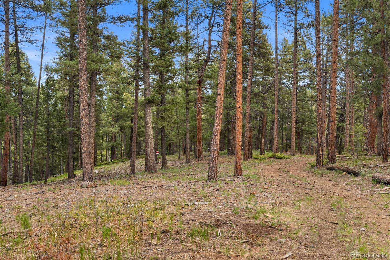 MLS Image #35 for 245 n county highway 67 ,sedalia, Colorado