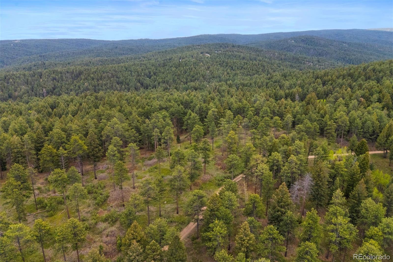 MLS Image #43 for 245 n county highway 67 ,sedalia, Colorado