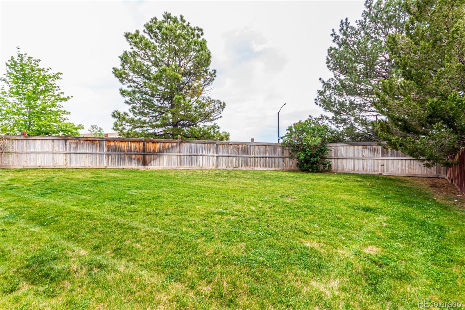 MLS Image #32 for 21396 e prentice lane,centennial, Colorado