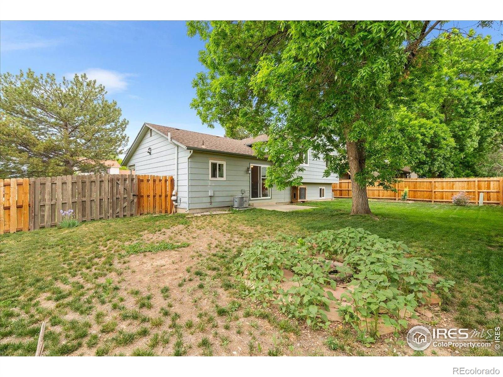 MLS Image #22 for 3402  white ash court,loveland, Colorado