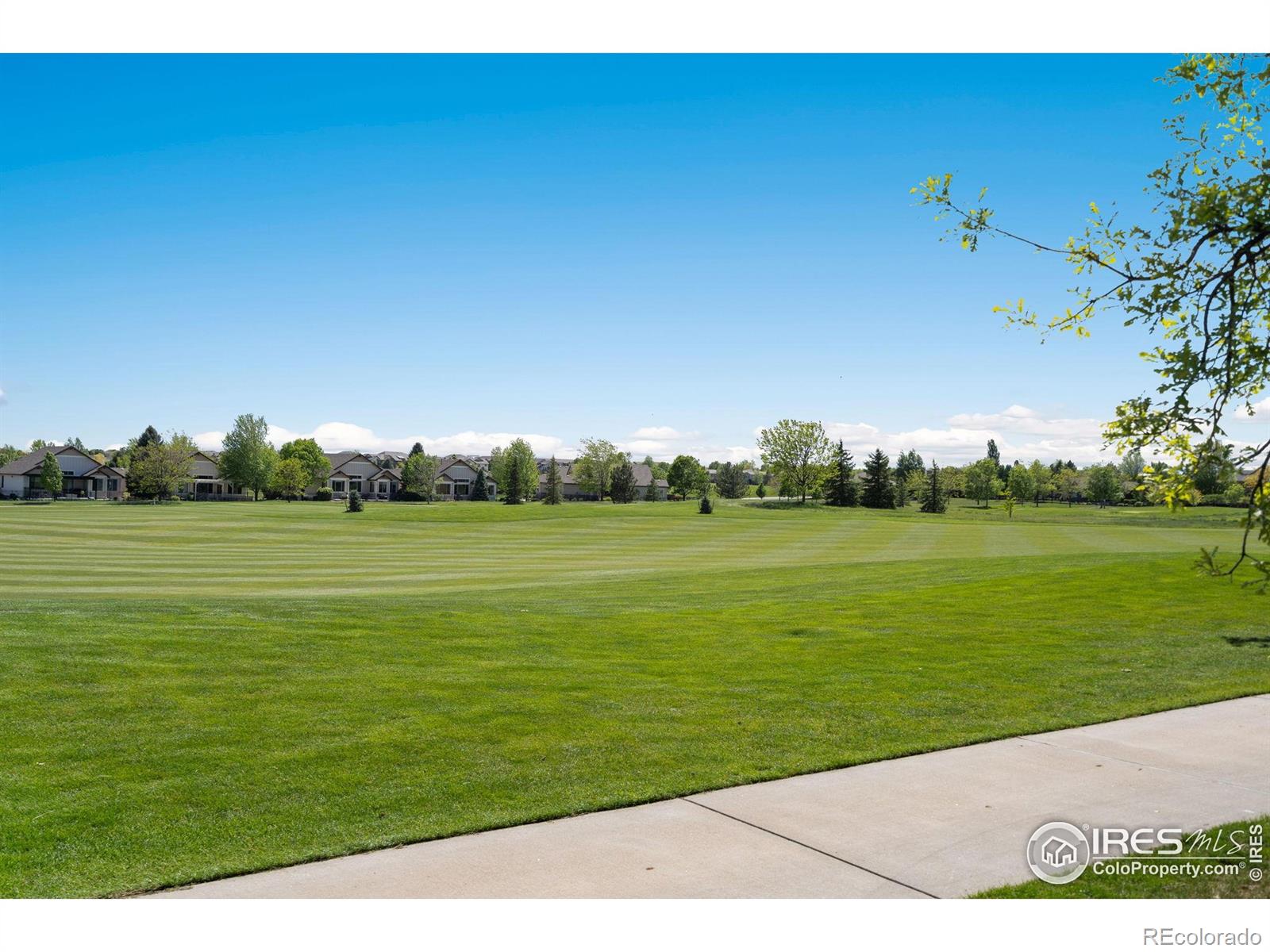 MLS Image #33 for 6787  spanish bay drive,windsor, Colorado