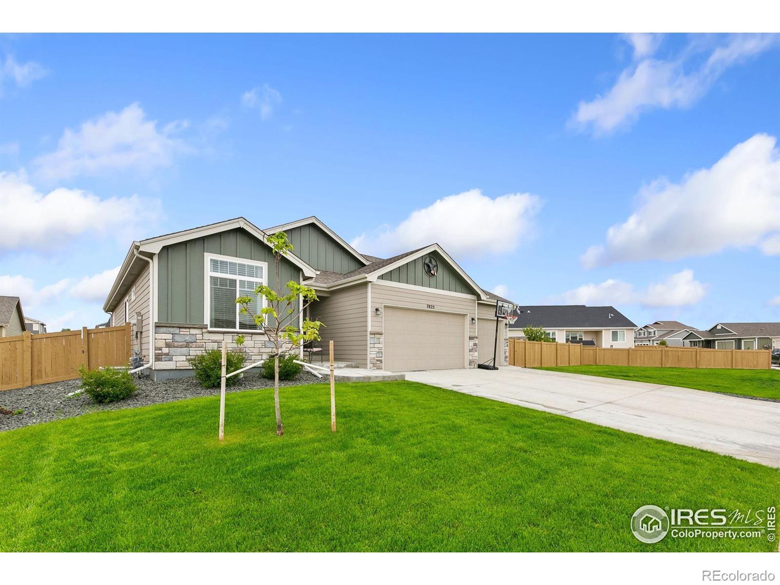 CMA Image for 7025  Meadow Rain Way,Wellington, Colorado