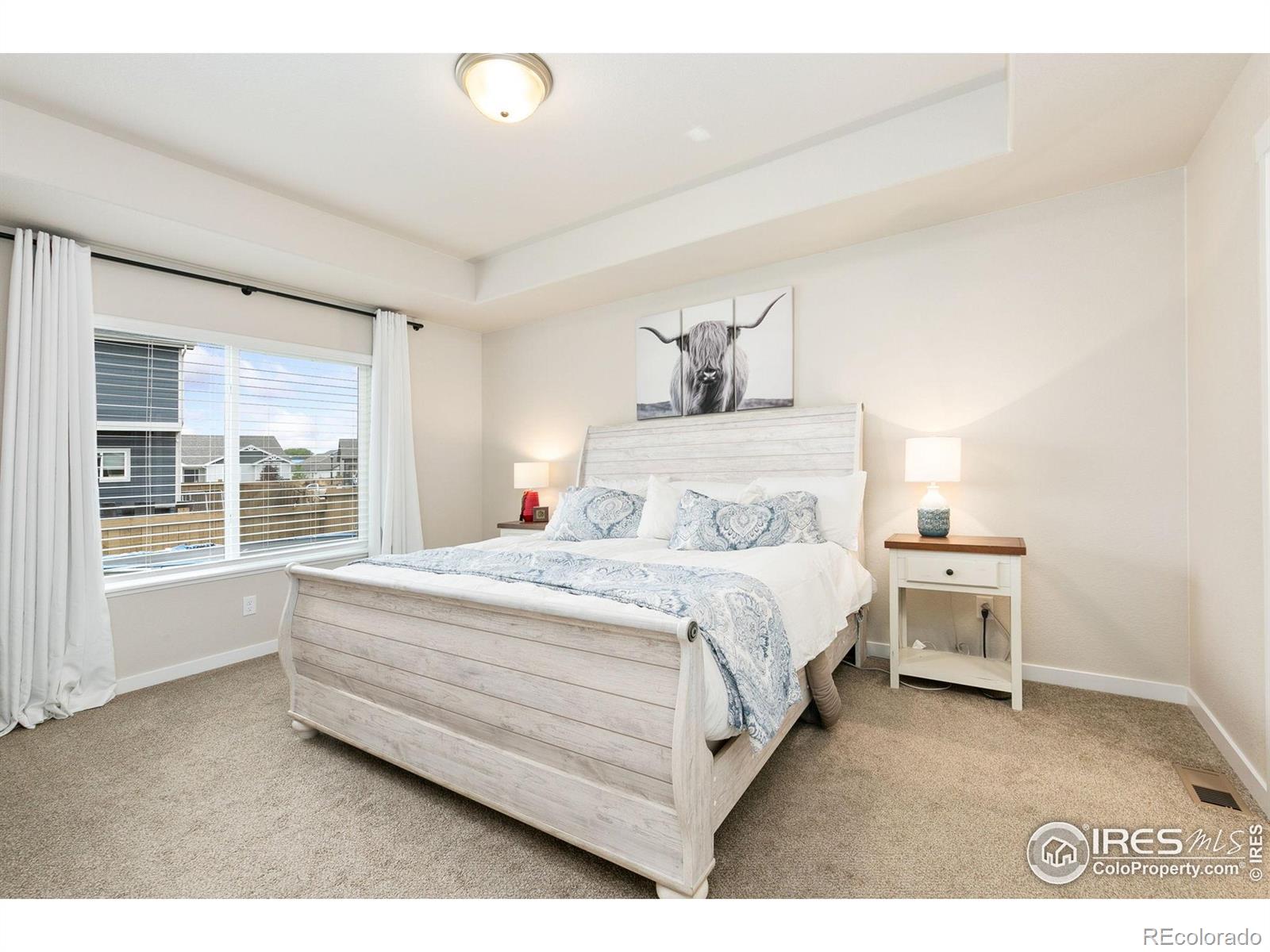 MLS Image #10 for 7025  meadow rain way,wellington, Colorado