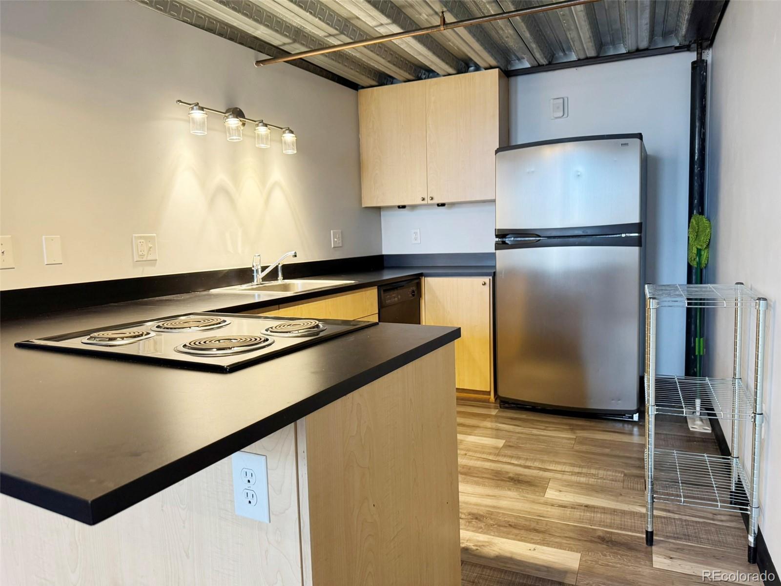 MLS Image #8 for 1111  osage street,denver, Colorado