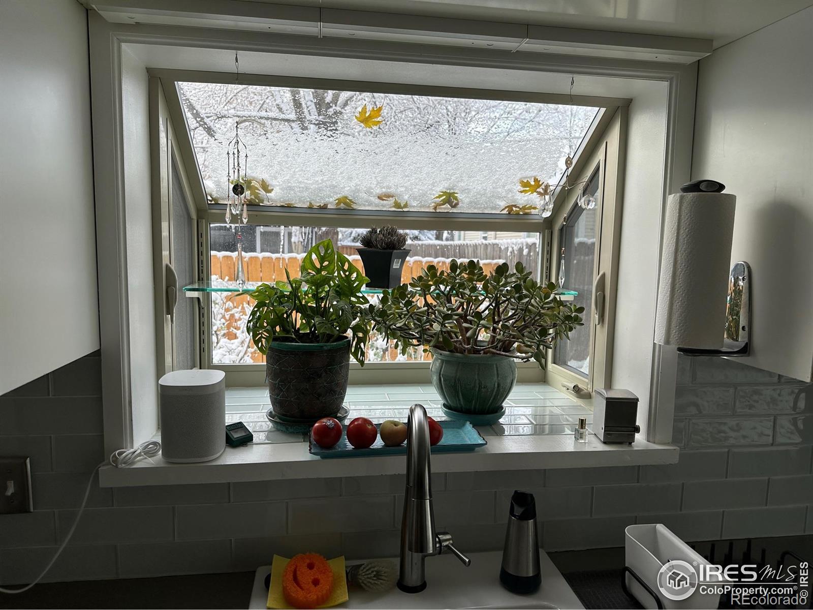 MLS Image #11 for 731  bowen street,longmont, Colorado