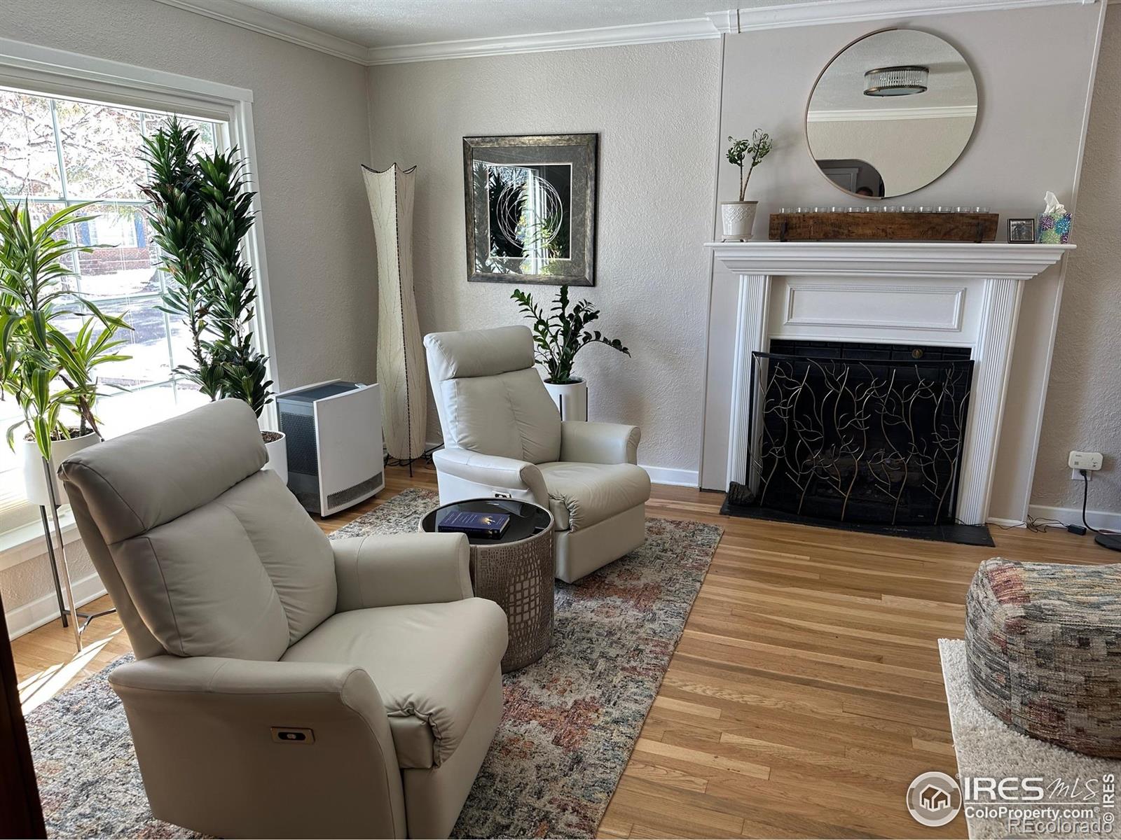 MLS Image #19 for 731  bowen street,longmont, Colorado