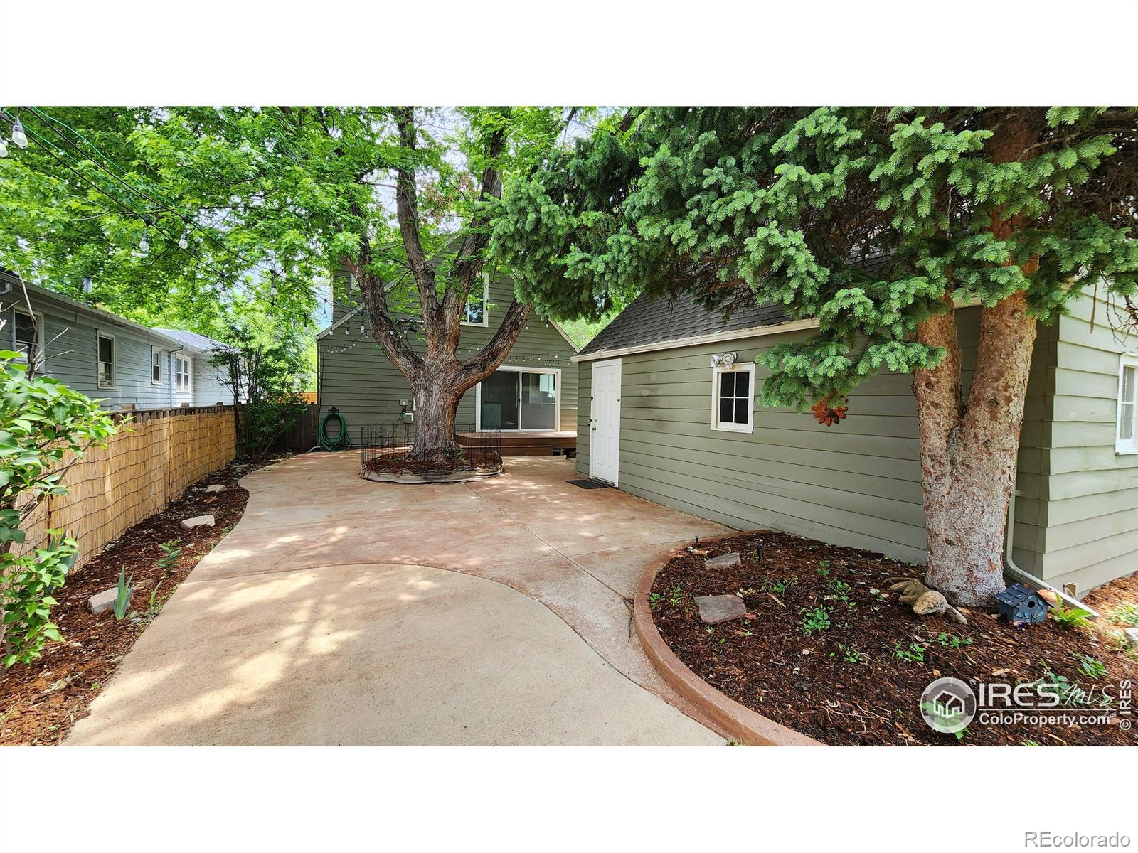 MLS Image #5 for 731  bowen street,longmont, Colorado