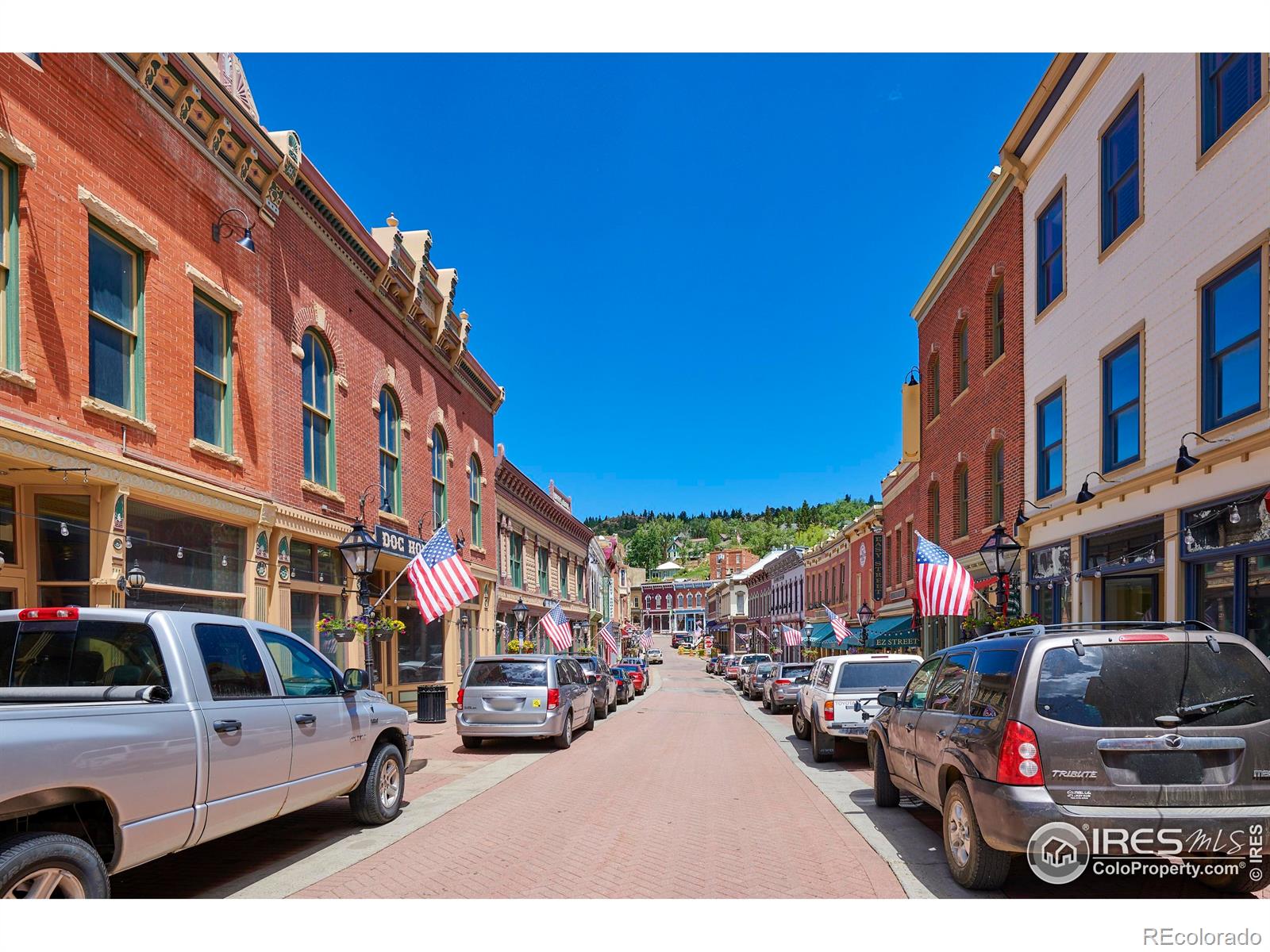 MLS Image #15 for 424  saint james street,central city, Colorado