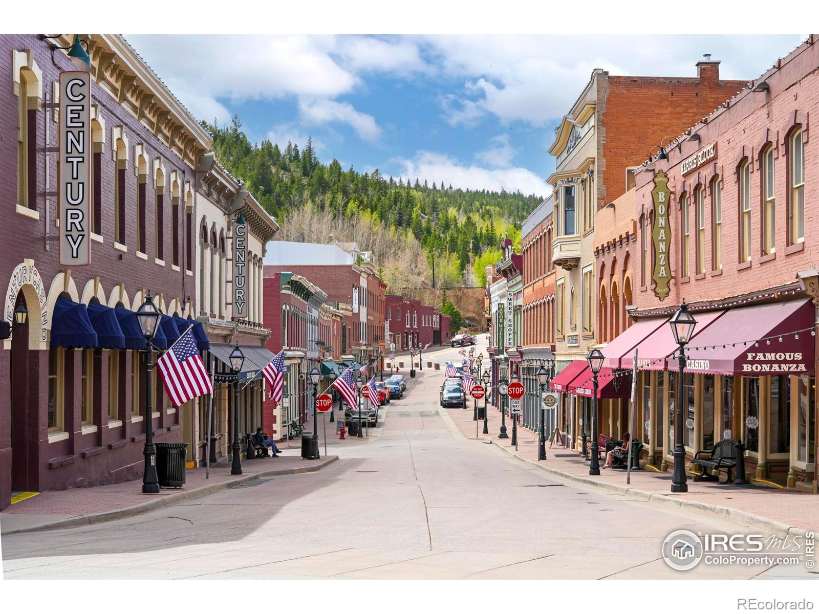 MLS Image #16 for 424  saint james street,central city, Colorado