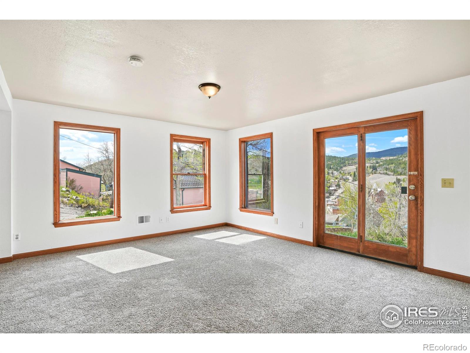 MLS Image #2 for 424  saint james street,central city, Colorado