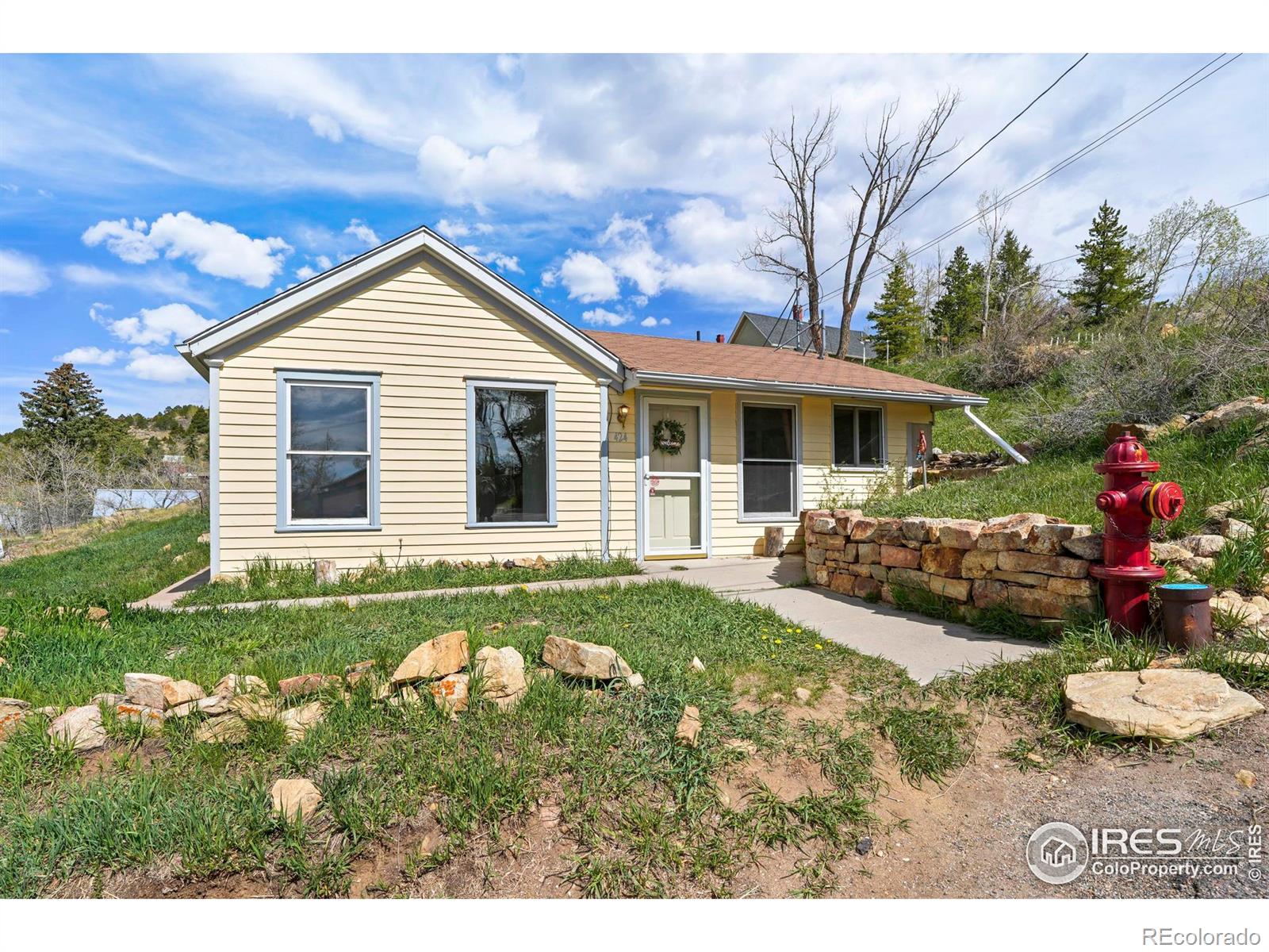 MLS Image #20 for 424  saint james street,central city, Colorado
