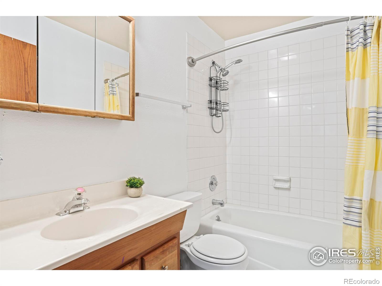 MLS Image #8 for 424  saint james street,central city, Colorado