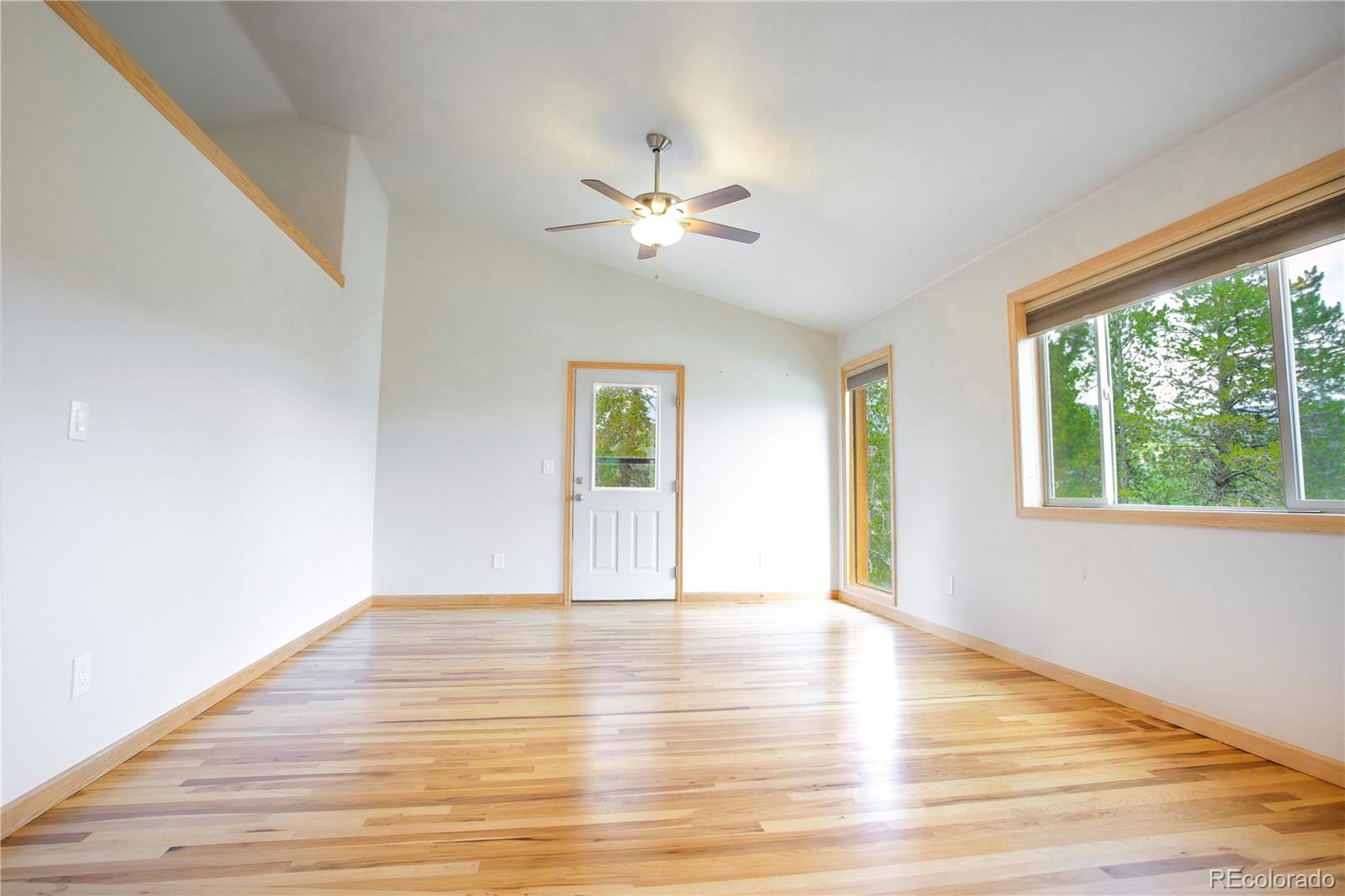 MLS Image #11 for 1555  shelton drive,bailey, Colorado