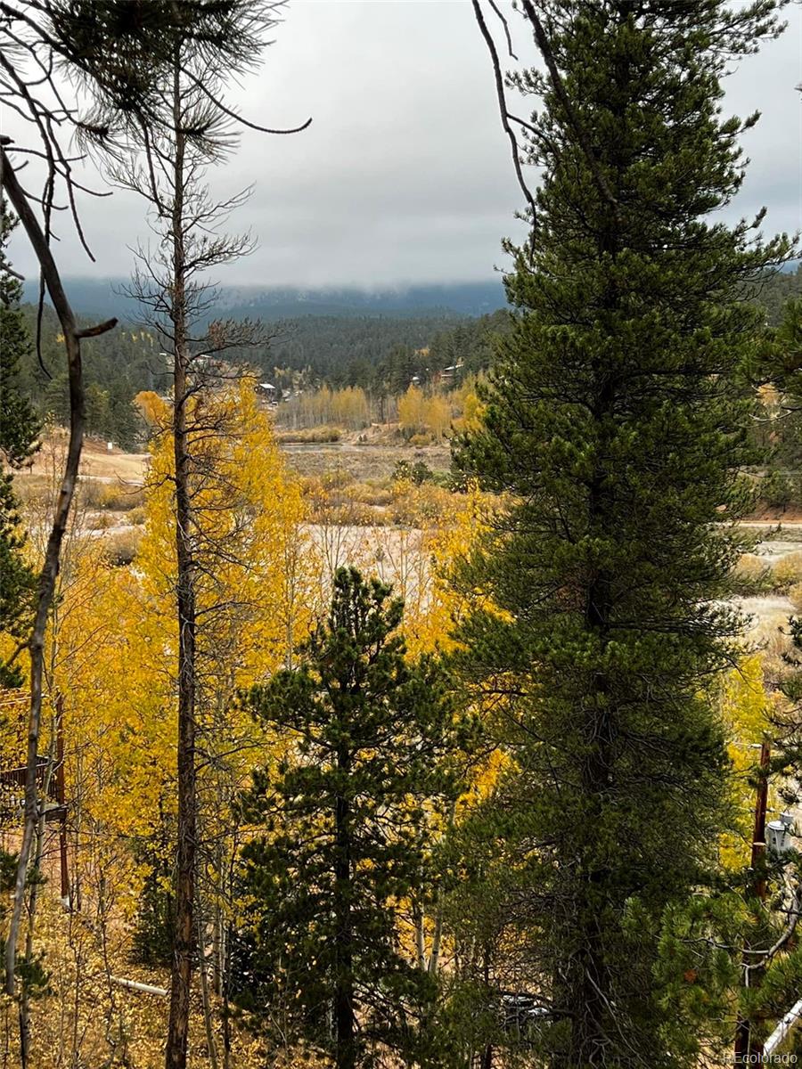 MLS Image #23 for 1555  shelton drive,bailey, Colorado