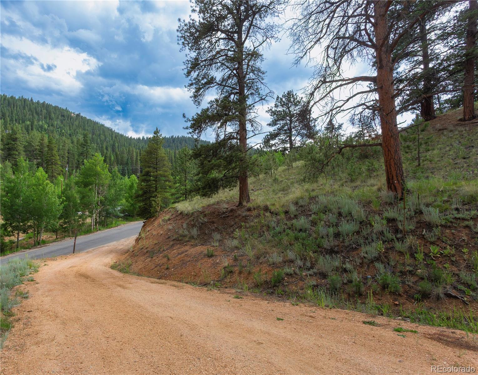 MLS Image #5 for 1555  shelton drive,bailey, Colorado