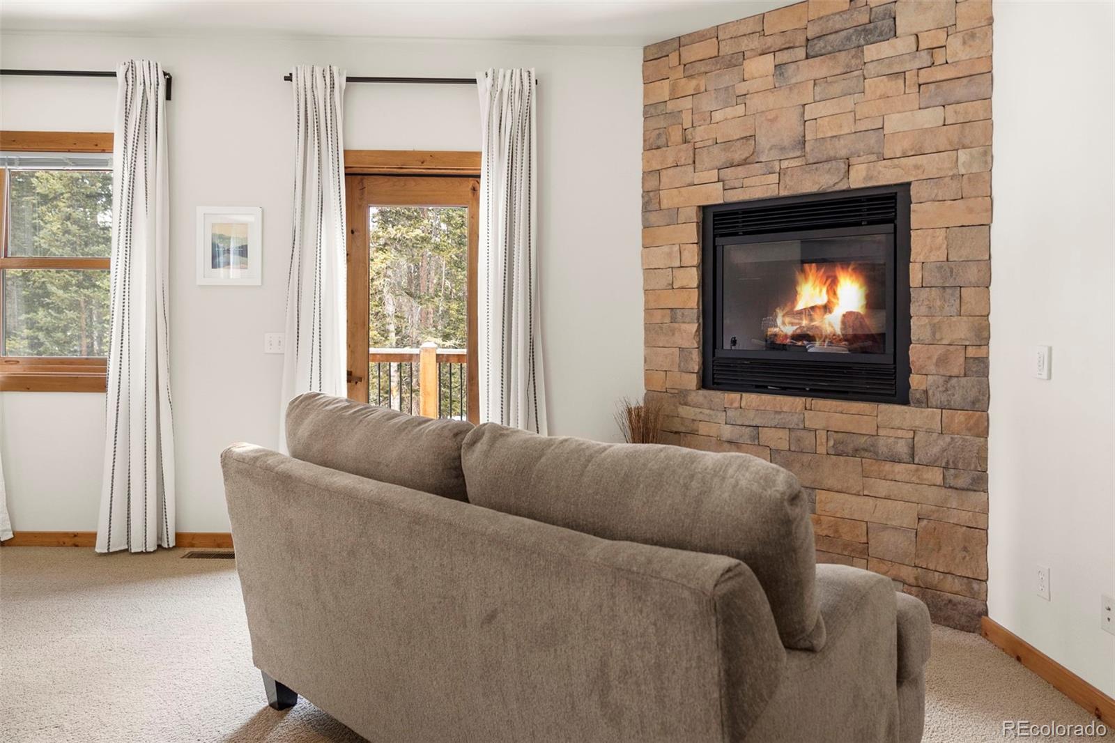 MLS Image #10 for 1564  valley of the sun drive,fairplay, Colorado